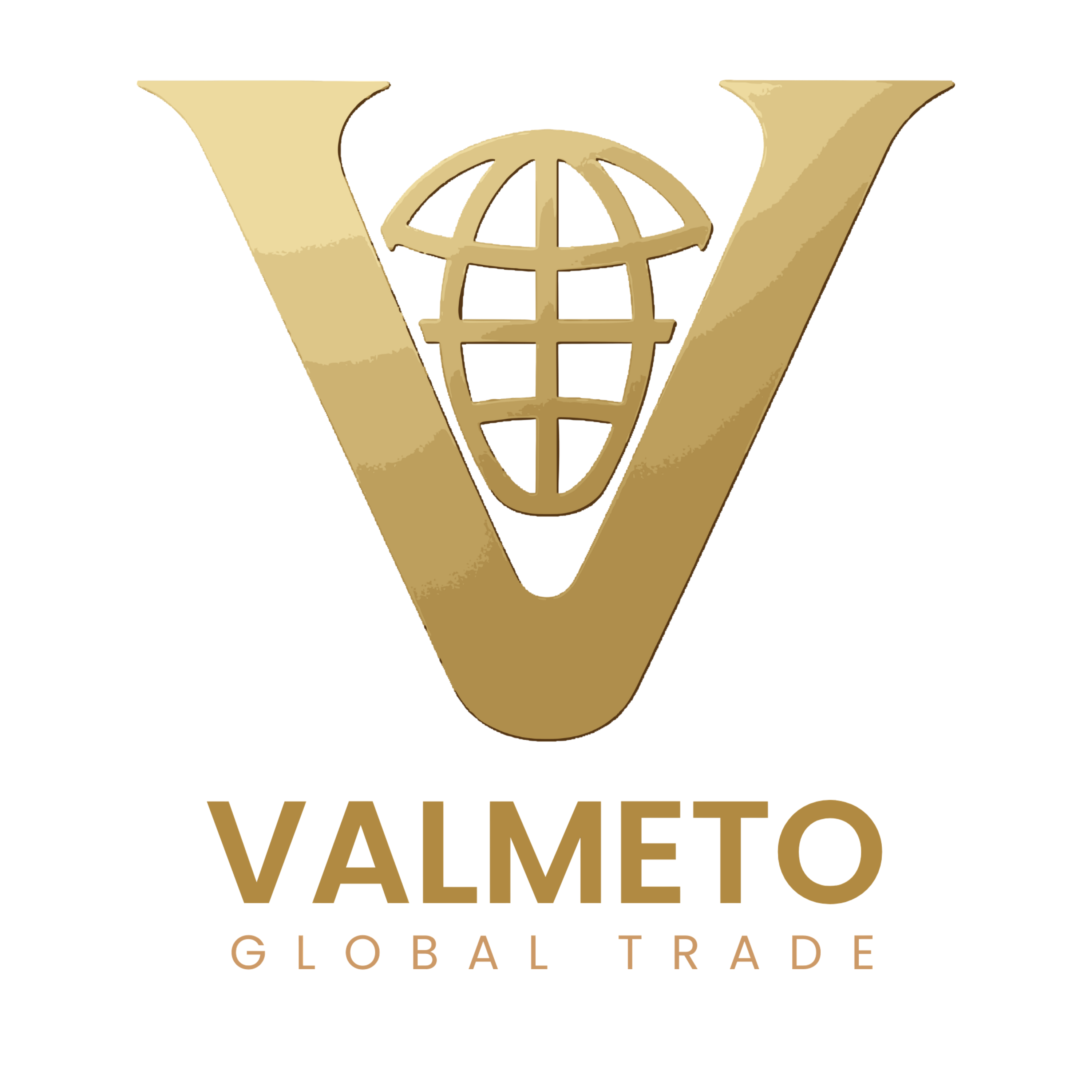 Valmeto Logo